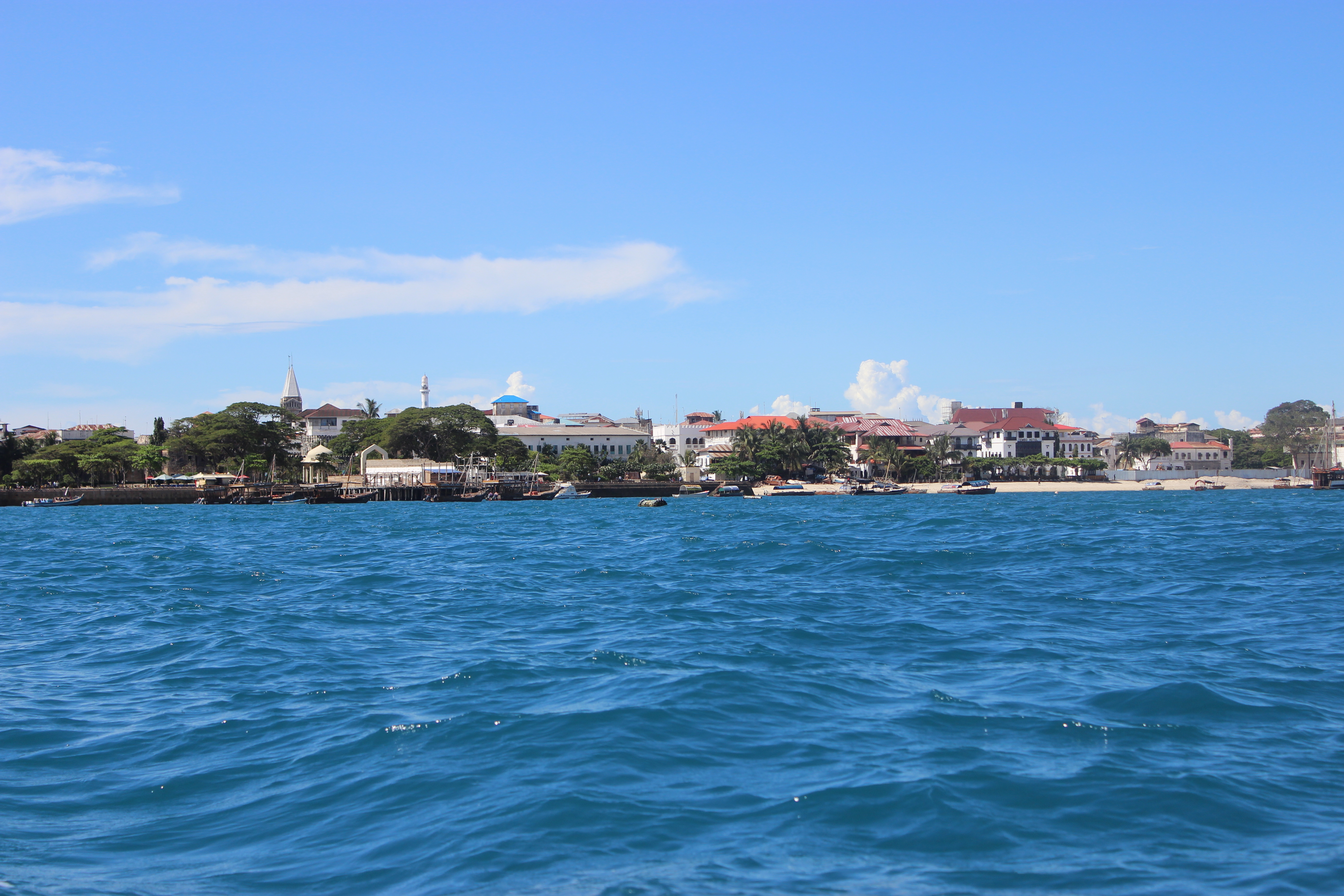 Stone Town waterfront from the sea — the old Arab Fort, church spire, mosque minaret, colonial buildings