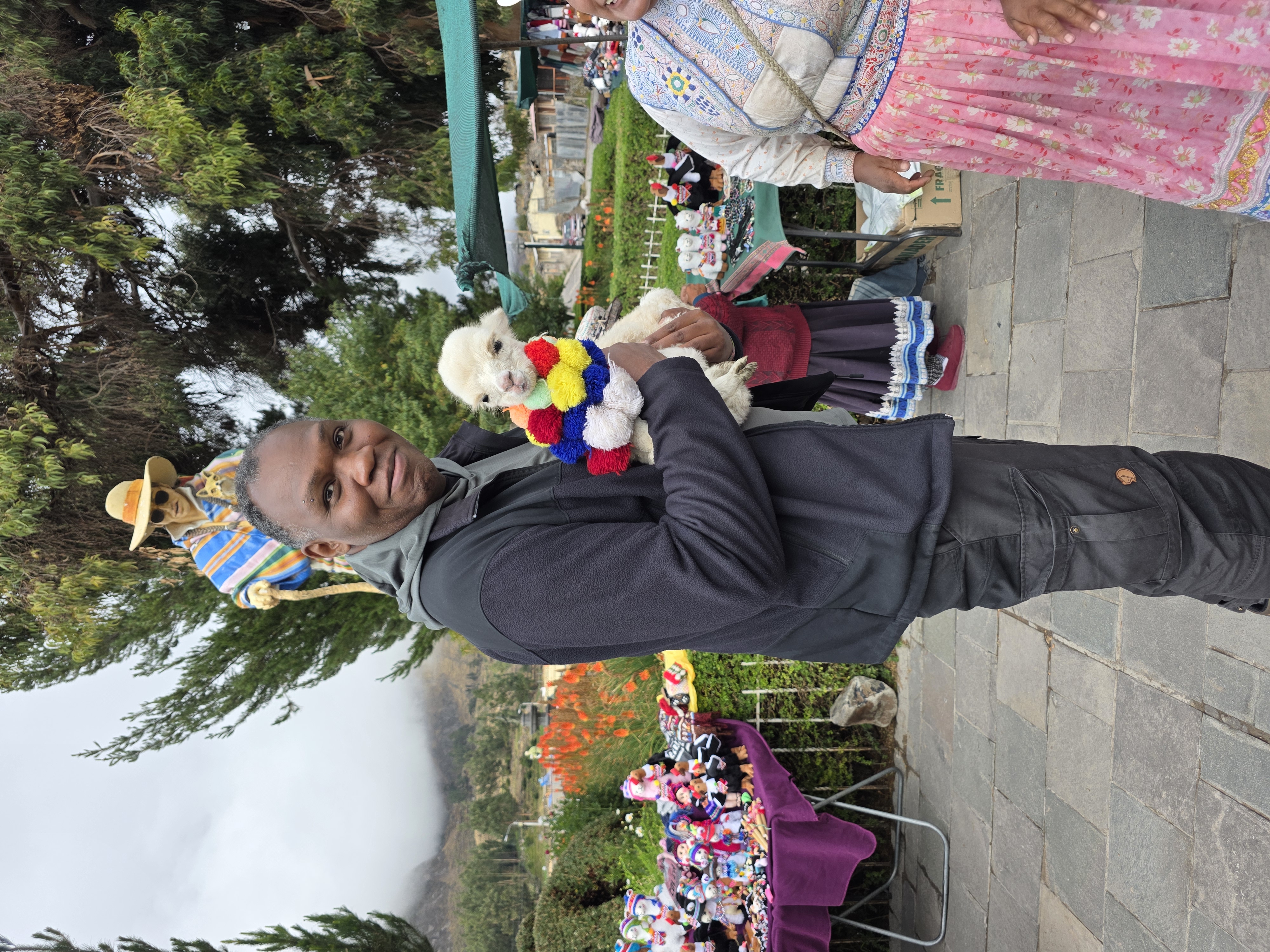 holding baby alpaca, market